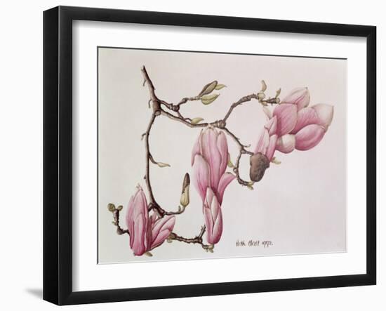 Magnolia X Soulangiana, 1992-Ruth Hall-Framed Giclee Print