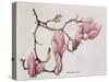 Magnolia X Soulangiana, 1992-Ruth Hall-Stretched Canvas