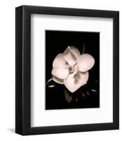 Magnolia-Sara Liu-Framed Art Print