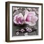 Magnolia-Catherine Beyler-Framed Art Print