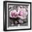 Magnolia-Catherine Beyler-Framed Art Print