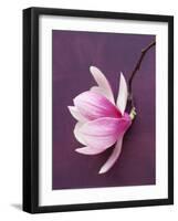 Magnolia-Amelie Vuillon-Framed Art Print