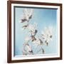 Magnolia-Elizabeth Hellman-Framed Art Print