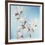 Magnolia-Elizabeth Hellman-Framed Art Print