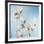 Magnolia-Elizabeth Hellman-Framed Art Print