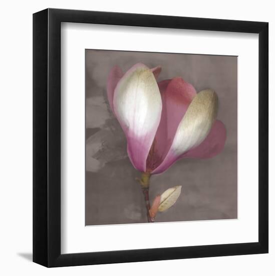 Magnolia-Erin Clark-Framed Art Print