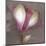 Magnolia-Erin Clark-Mounted Art Print