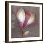 Magnolia-Erin Clark-Framed Art Print