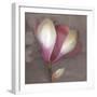 Magnolia-Erin Clark-Framed Art Print