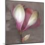 Magnolia-Erin Clark-Mounted Art Print