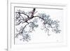 Magnolia-Jackie Battenfield-Framed Giclee Print