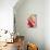 Magnolia-Sabine Rosch-Stretched Canvas displayed on a wall