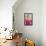 Magnolia-Sabine Rosch-Framed Stretched Canvas displayed on a wall