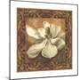 Magnolia-Patricia Pinto-Mounted Premium Giclee Print