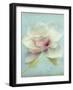 Magnolia-Amy Melious-Framed Art Print