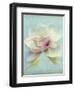 Magnolia-Amy Melious-Framed Art Print