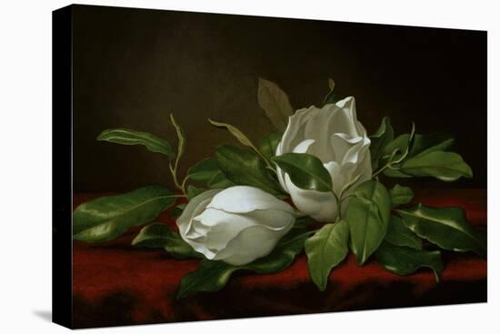 Magnolia-Martin Johnson Heade-Stretched Canvas