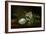 Magnolia-Martin Johnson Heade-Framed Giclee Print