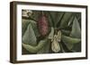 Magnolia-null-Framed Giclee Print