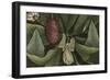 Magnolia-null-Framed Giclee Print