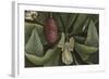 Magnolia-null-Framed Giclee Print