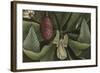 Magnolia-null-Framed Giclee Print