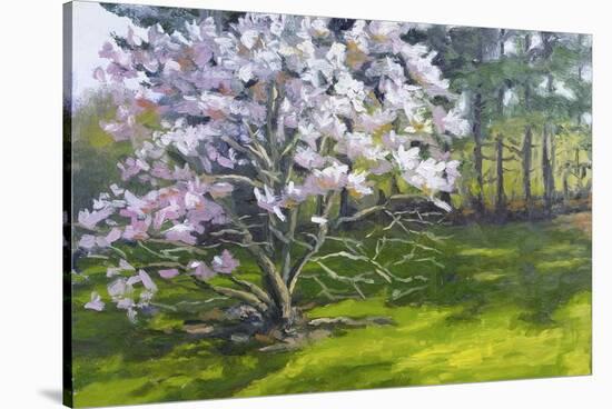 Magnolia-Rusty Frentner-Stretched Canvas