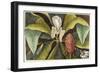 Magnolia-Mark Catesby-Framed Giclee Print