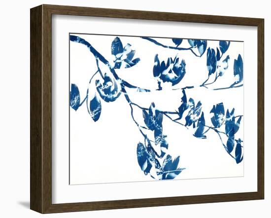 Magnolia-Cynthia MacCollum-Framed Art Print