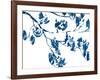 Magnolia-Cynthia MacCollum-Framed Art Print