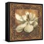 Magnolia-Patricia Pinto-Framed Stretched Canvas