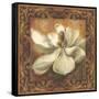 Magnolia-Patricia Pinto-Framed Stretched Canvas