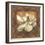 Magnolia-Patricia Pinto-Framed Art Print