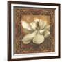 Magnolia-Patricia Pinto-Framed Art Print