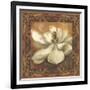 Magnolia-Patricia Pinto-Framed Art Print