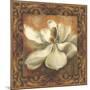 Magnolia-Patricia Pinto-Mounted Art Print
