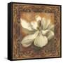 Magnolia-Patricia Pinto-Framed Stretched Canvas