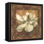 Magnolia-Patricia Pinto-Framed Stretched Canvas