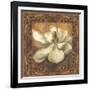 Magnolia-Patricia Pinto-Framed Art Print