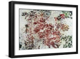 Magnolia-Kari Taylor-Framed Giclee Print