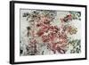 Magnolia-Kari Taylor-Framed Giclee Print