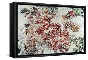 Magnolia-Kari Taylor-Framed Stretched Canvas