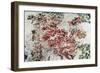 Magnolia-Kari Taylor-Framed Giclee Print