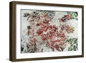 Magnolia-Kari Taylor-Framed Giclee Print