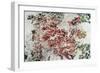 Magnolia-Kari Taylor-Framed Giclee Print