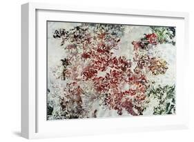 Magnolia-Kari Taylor-Framed Giclee Print