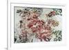Magnolia-Kari Taylor-Framed Giclee Print