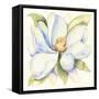 Magnolia-Kathleen Parr McKenna-Framed Stretched Canvas