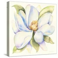 Magnolia-Kathleen Parr McKenna-Stretched Canvas