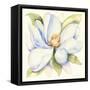 Magnolia-Kathleen Parr McKenna-Framed Stretched Canvas